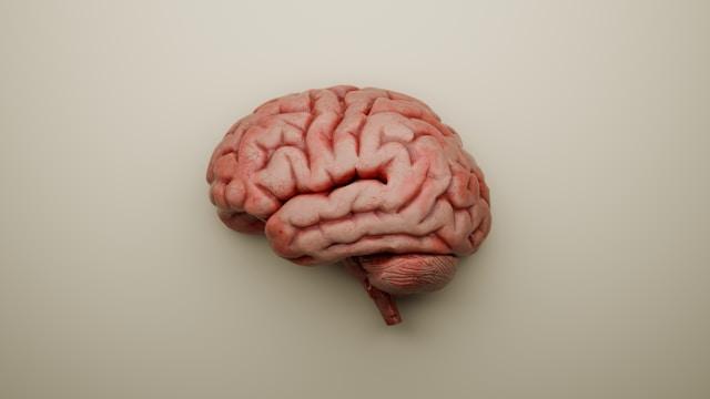 Image Credits: Unsplash