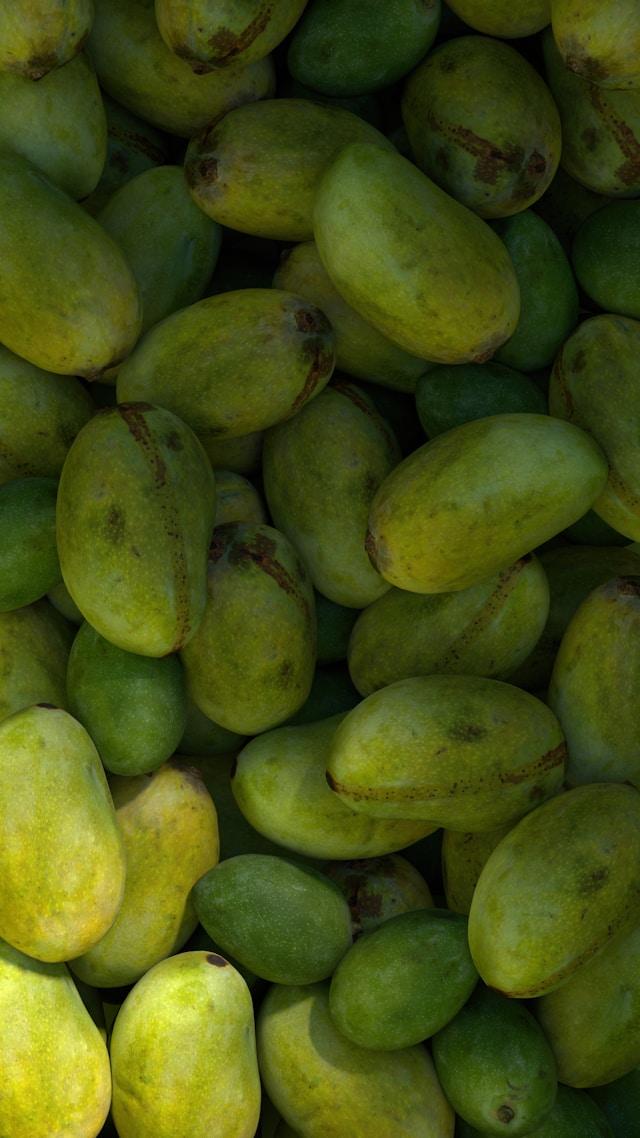 Image Credits: Unsplash