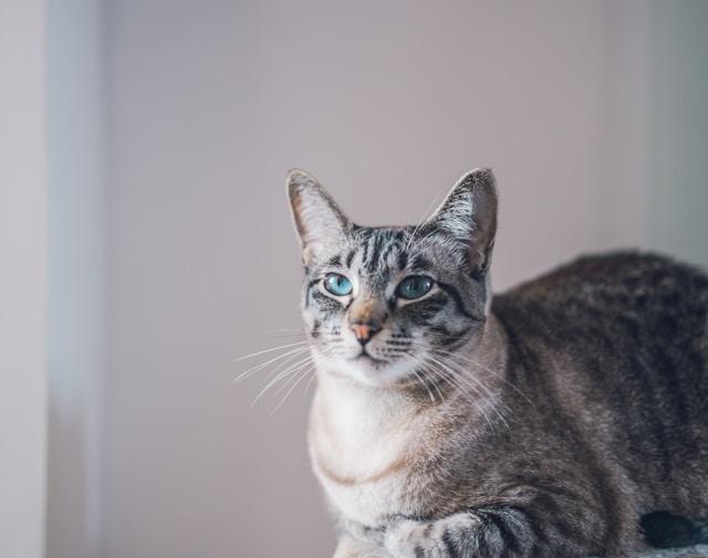 Image Credits: Unsplash