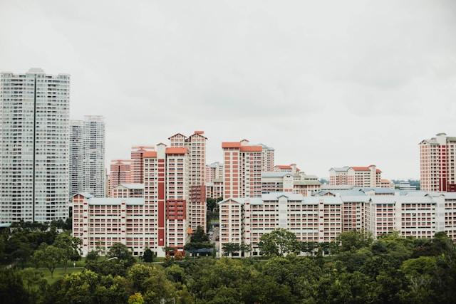 Image Credits: Unsplash