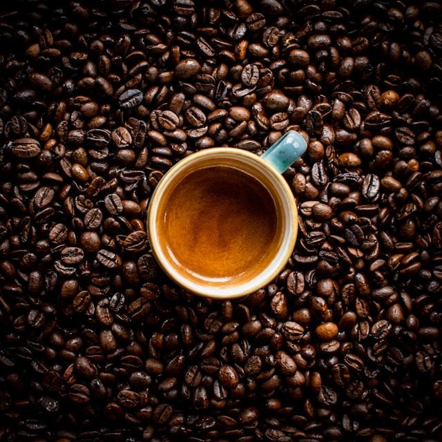 Image Credits: Unsplash