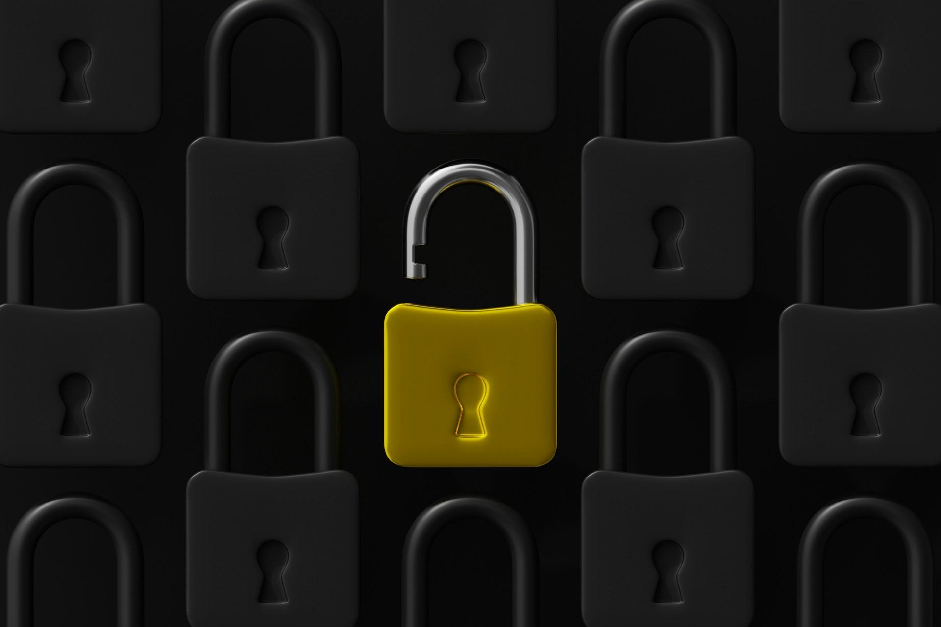 Image Credits: Unsplash