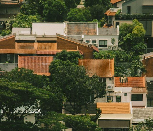 Image Credits: Unsplash