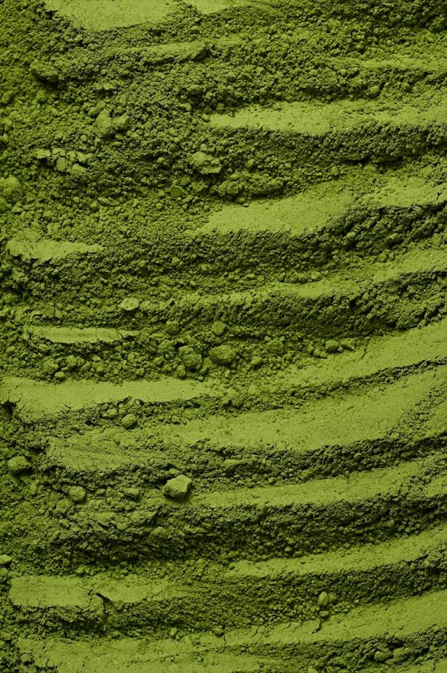 Image Credits: Unsplash