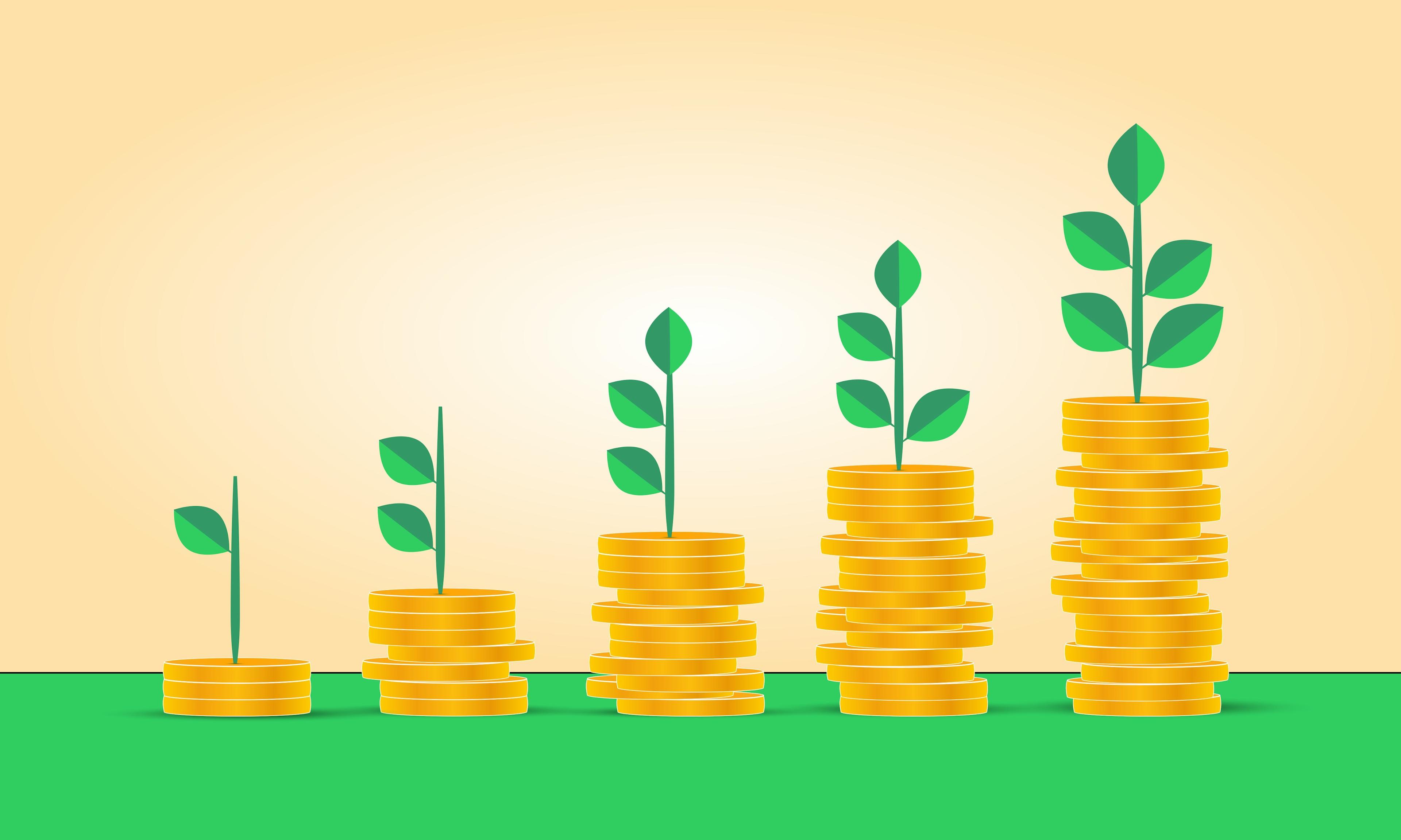 Image Credits: Unsplash