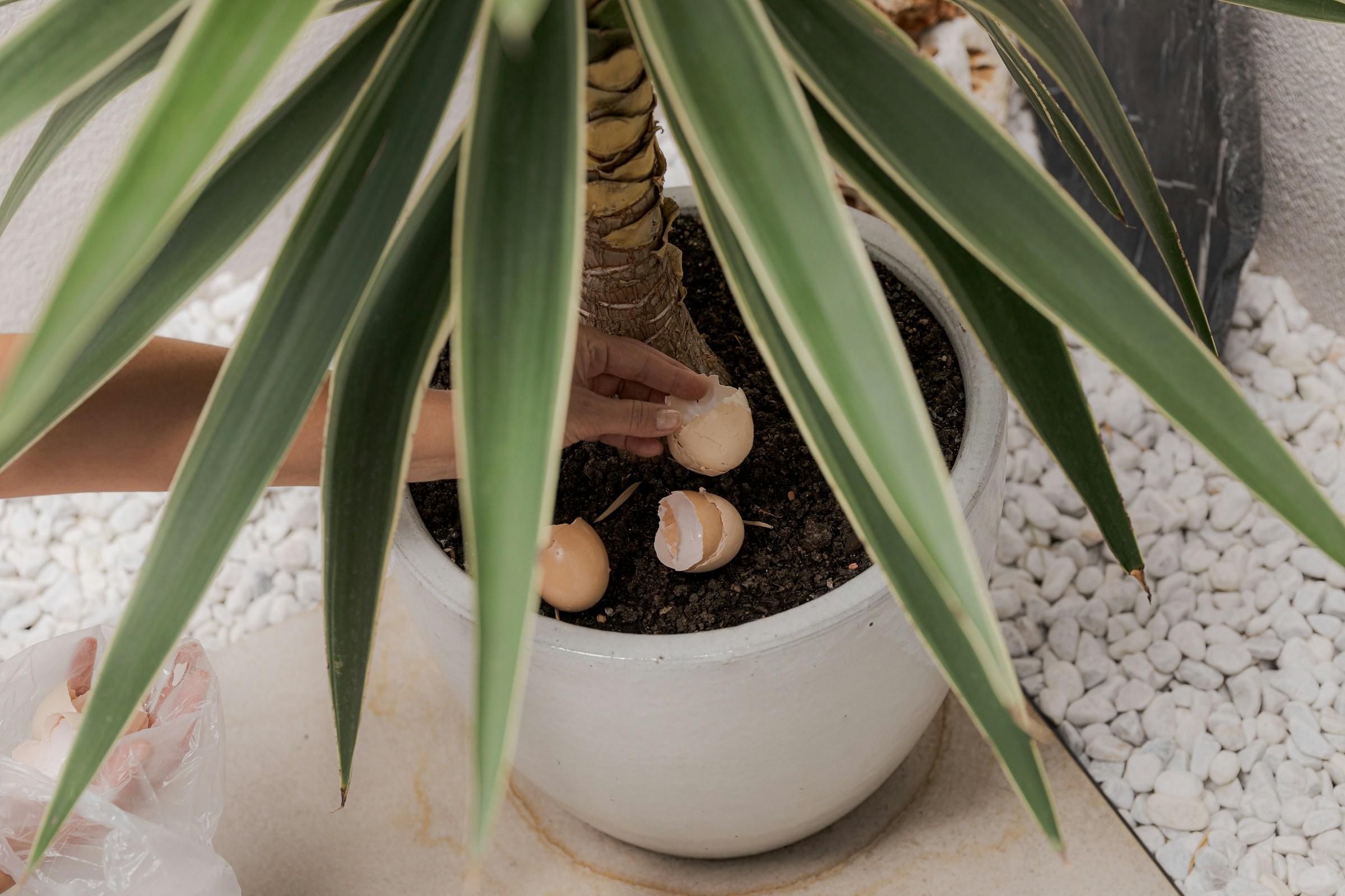 Image Credits: Unsplash