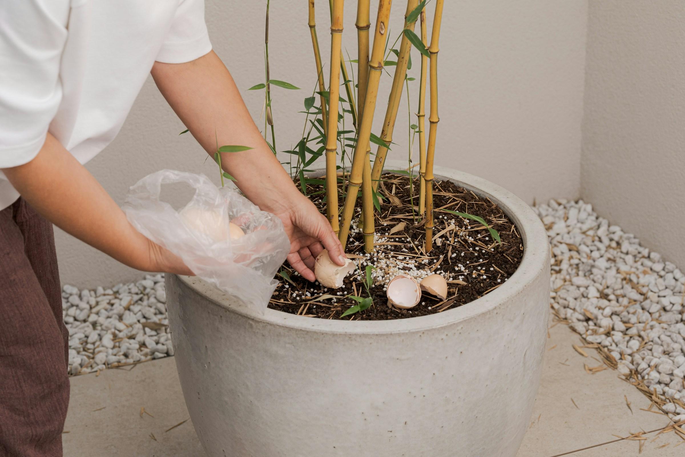 Image Credits: Unsplash