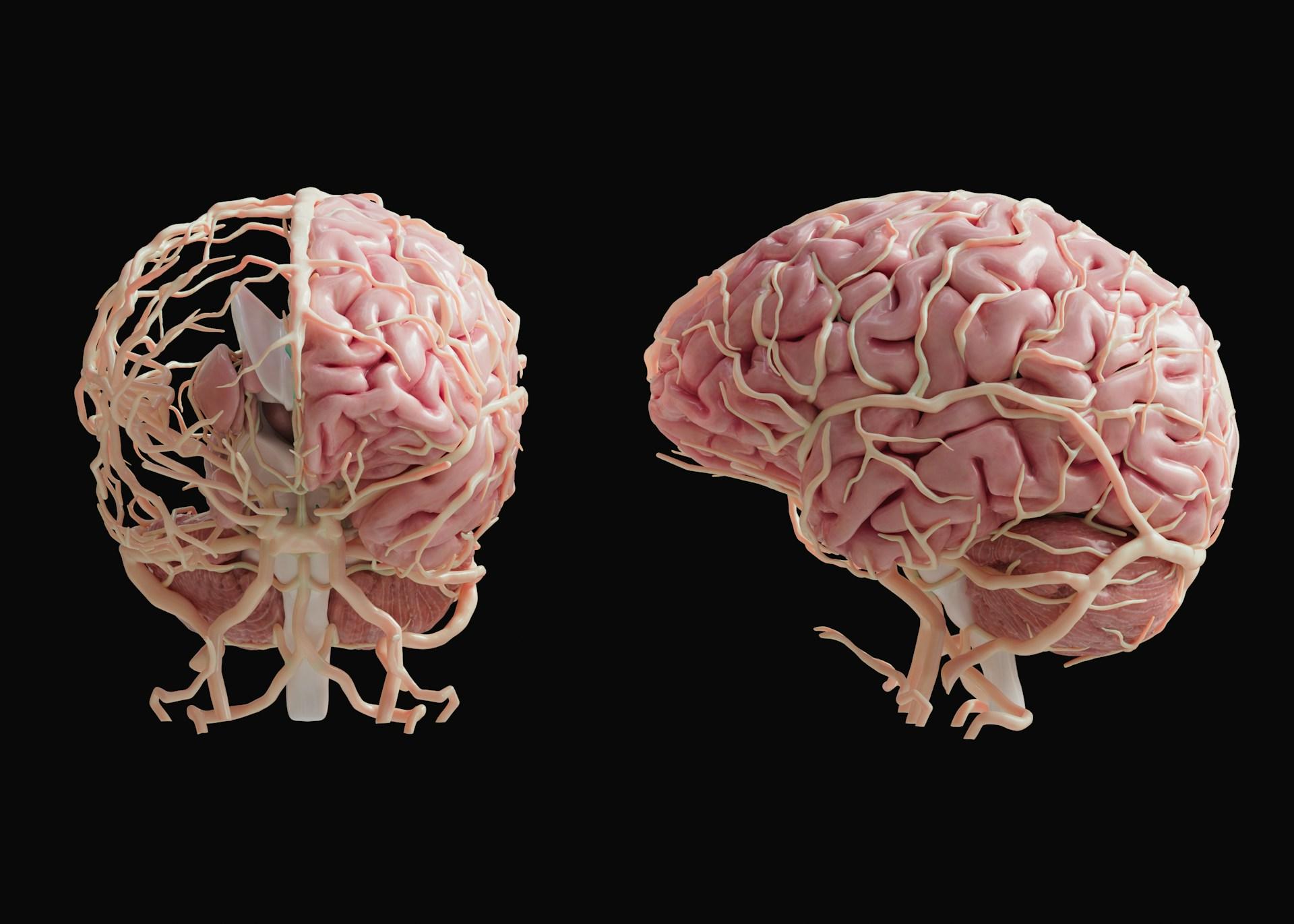 Image Credits: Unsplash