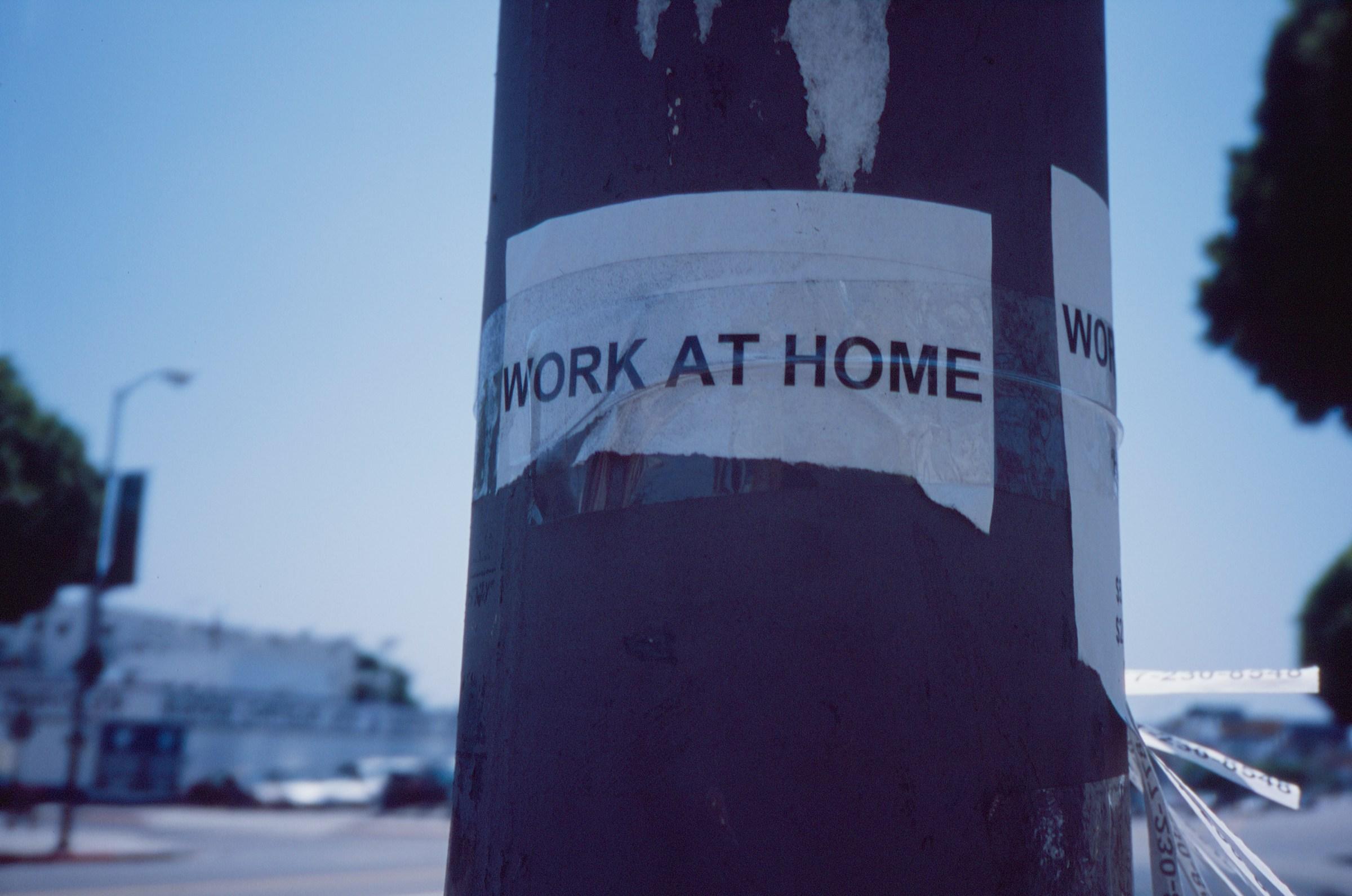 Image Credits: Unsplash